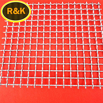 Lock Curved Stainless Steel Crimped Mesh